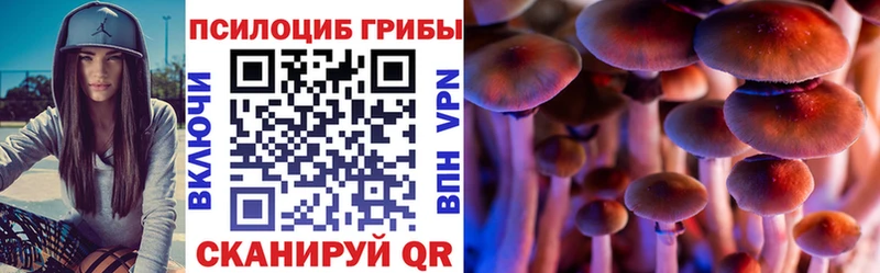 Псилоцибиновые грибы Psilocybine cubensis  МЕГА маркетплейс  Белоусово  наркошоп 